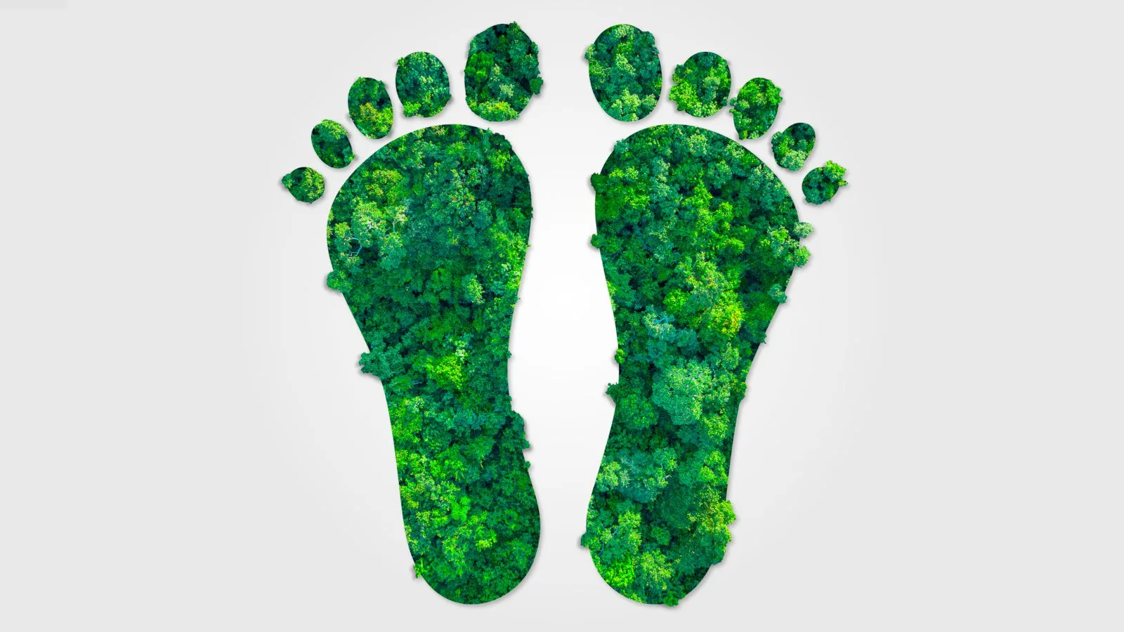 Eco-Friendly Conversions for Carbon Footprint and Energy Savings